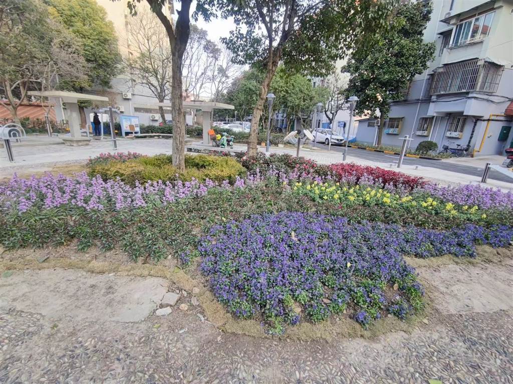 物业园林绿化整改提升，小区环境品质焕然一新